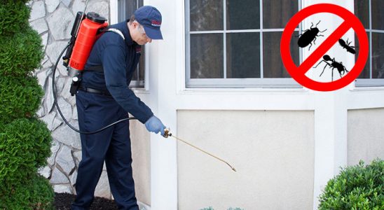 Evka 3 Dezenfeksiyon böcek ilaçlama ve haşere kontrolü — ilaclama-tr.com